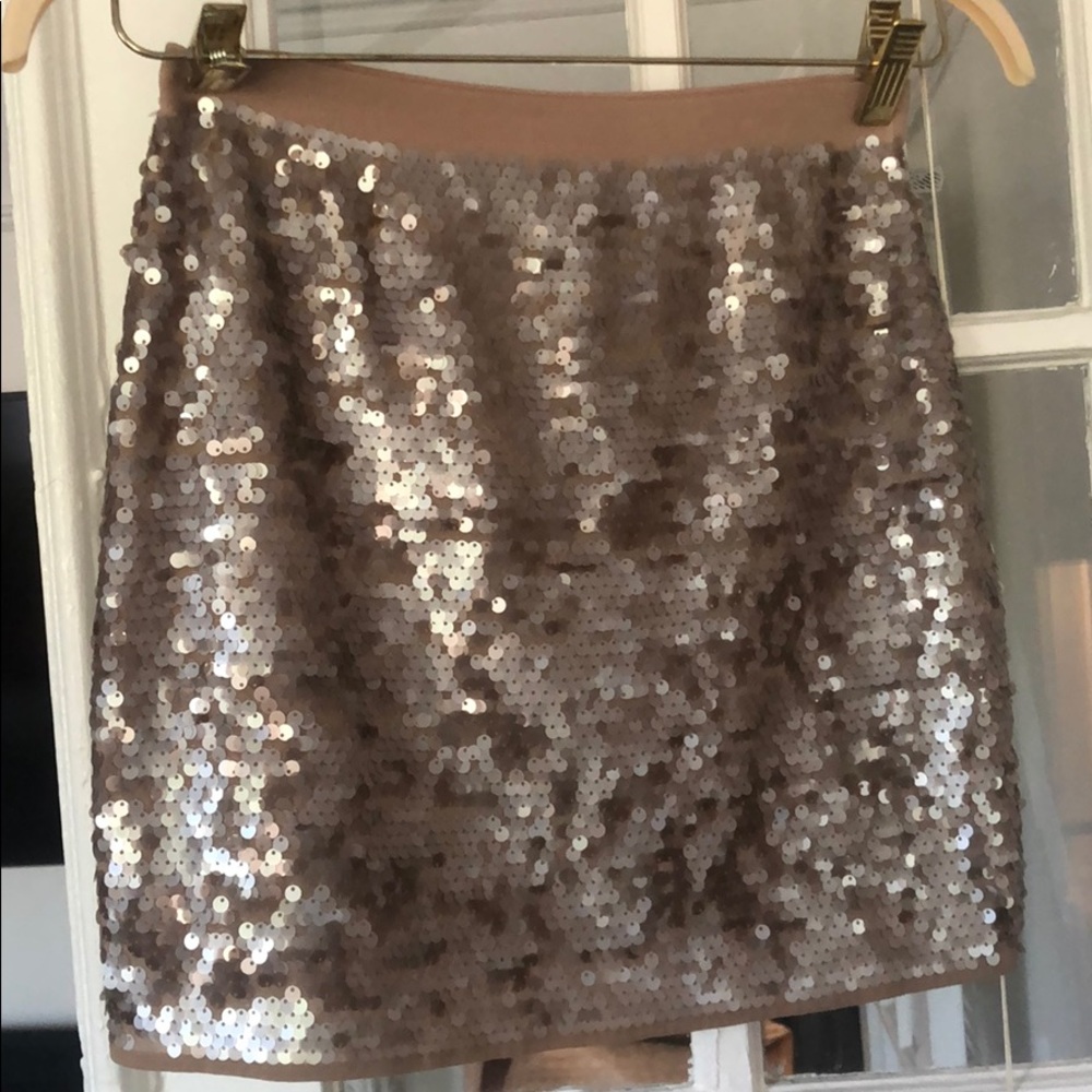 Sequined skirt